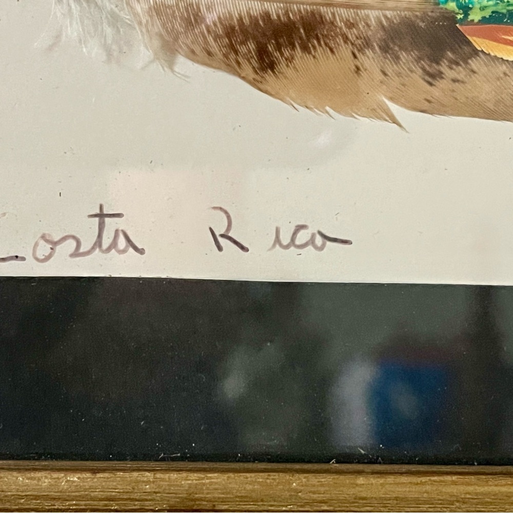 Framed Costa Rica Artwork with Wooden Frame hand painted on Bird Feather 7/13 in - Picture 6 of 11